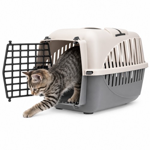 Tiertransportbox grau bis - tiertransportbox, |