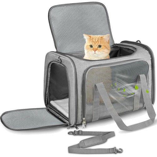 Transportbox für kleine